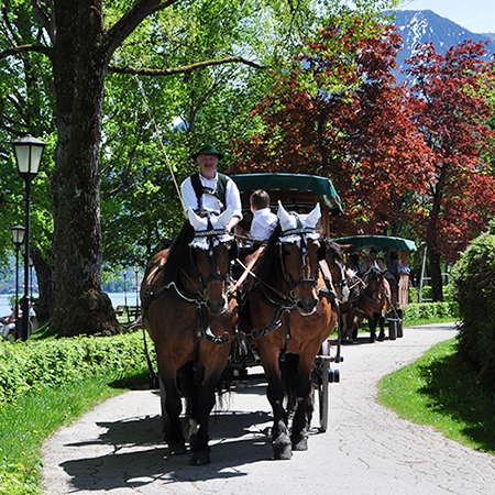 Kutschenfahrt im Sommer - Josef Kreidl Rottach-Egern