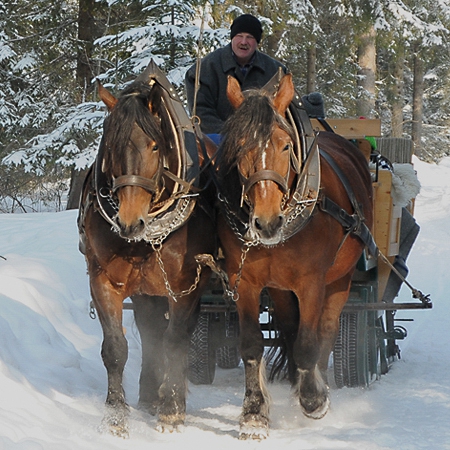 Kutschenfahrt im Winter - Josef Kreidl Rottach-Egern