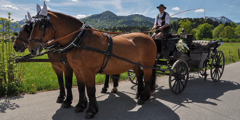 Fahrt im Landauer - Hochzeit am Tegernsee